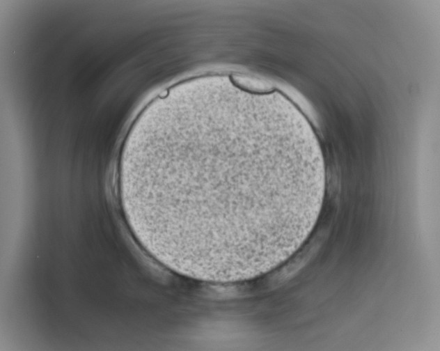 X0000113260911200910221036