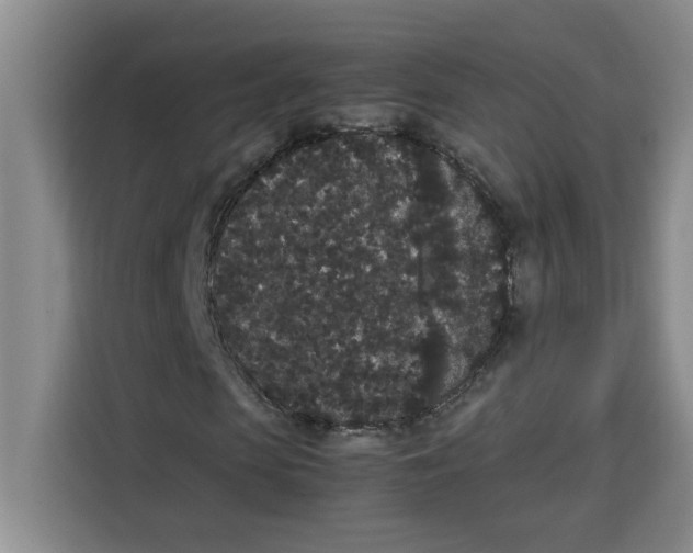 X0000113260913200910221036