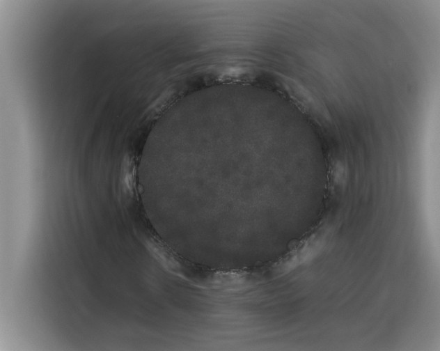 X0000113260914200910221036