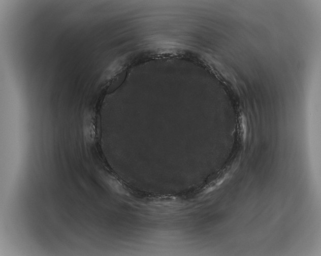 X0000113260916200910221036