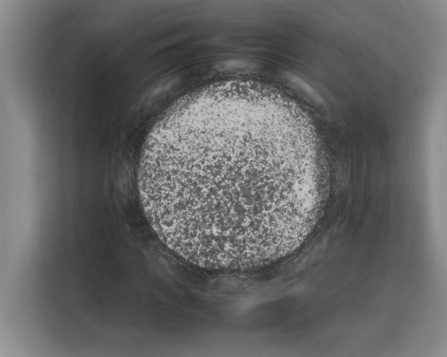 X0000113260917200910221036