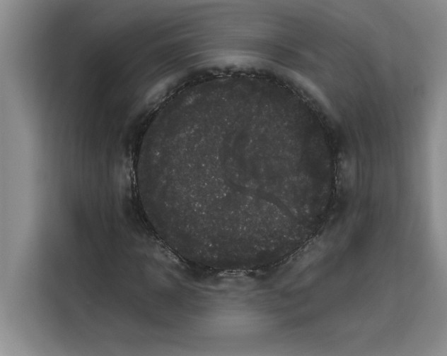 X0000113260918200910221036