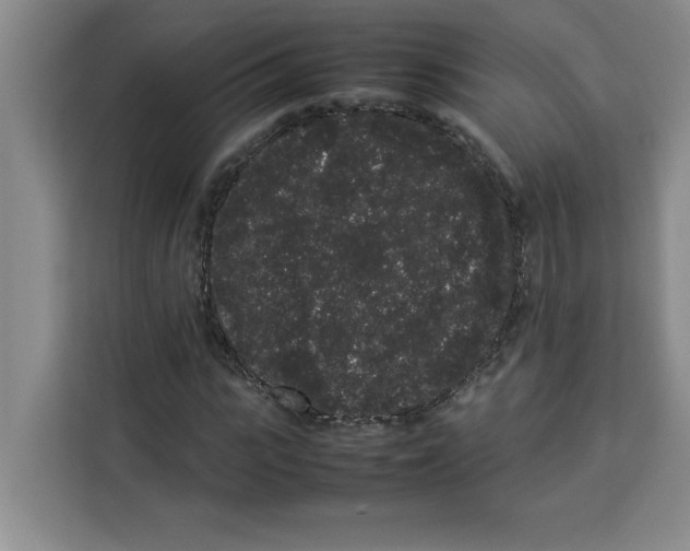 X0000113260919200910221036