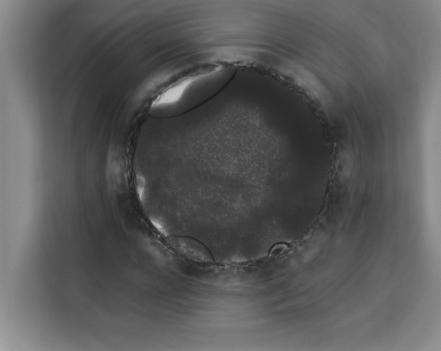 X0000113260920200910221036