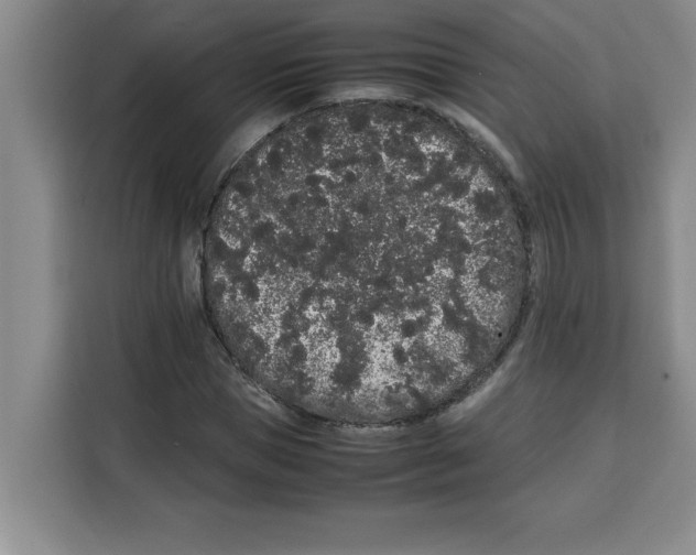 X0000113260921200910221036