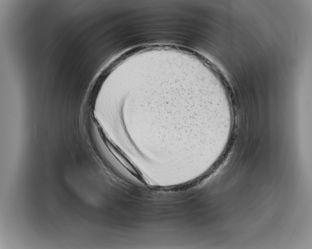 X0000113260925200910221036