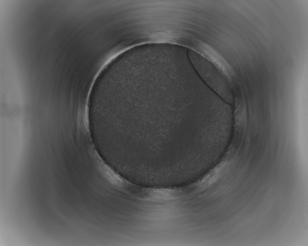 X0000113260932200910221036