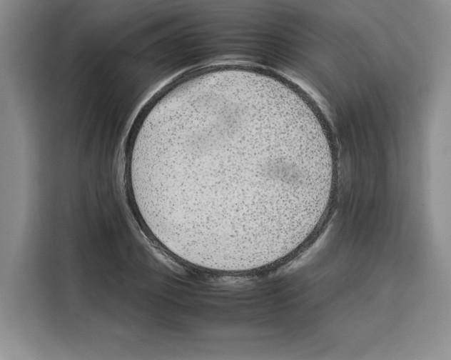 X0000113260933200910221036