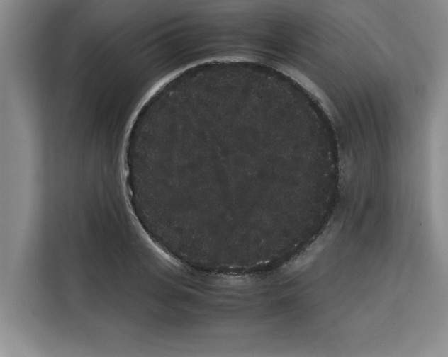 X0000113260935200910221036