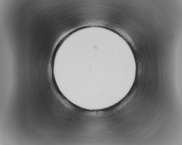 X0000113260936200910221036