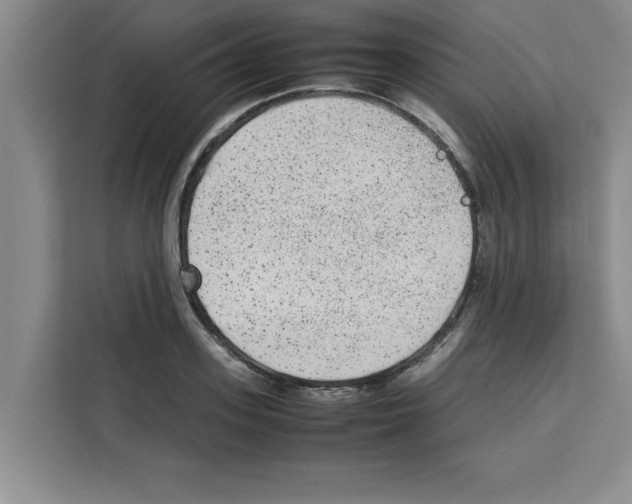 X0000113260939200910221036