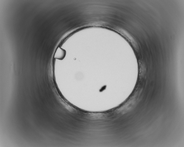 X0000113260940200910221036