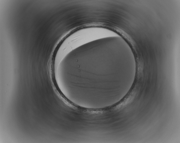 X0000113260941200910221036
