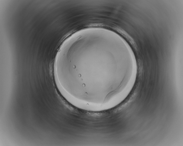 X0000113260945200910221036