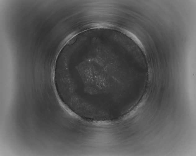 X0000113260946200910221036