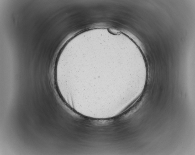 X0000113260949200910221036