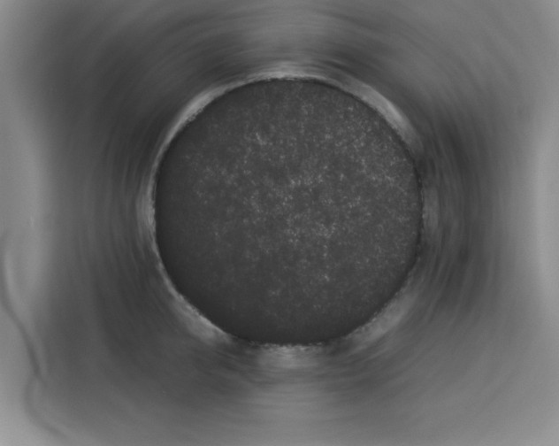 X0000113260950200910221036