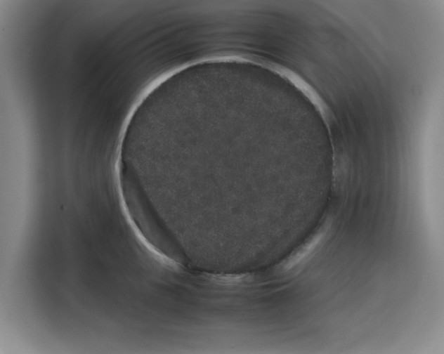 X0000113260951200910221036