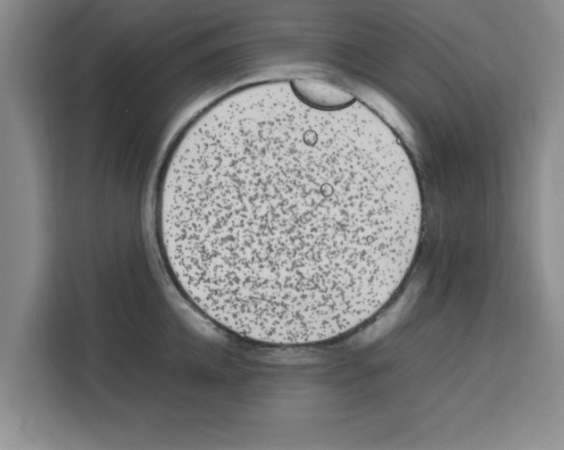 X0000113260952200910221036