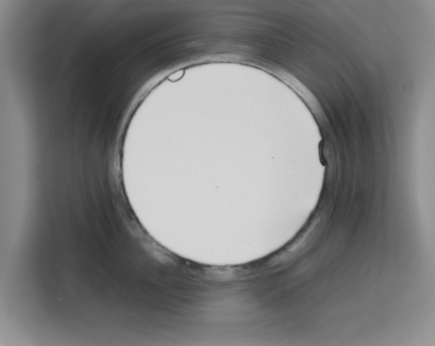 X0000113260956200910221036