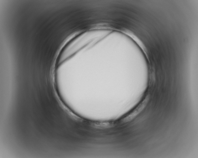 X0000113260957200910221036