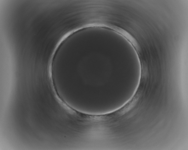 X0000113260958200910221036