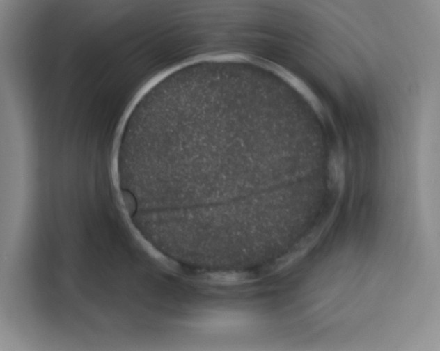 X0000113260959200910221036