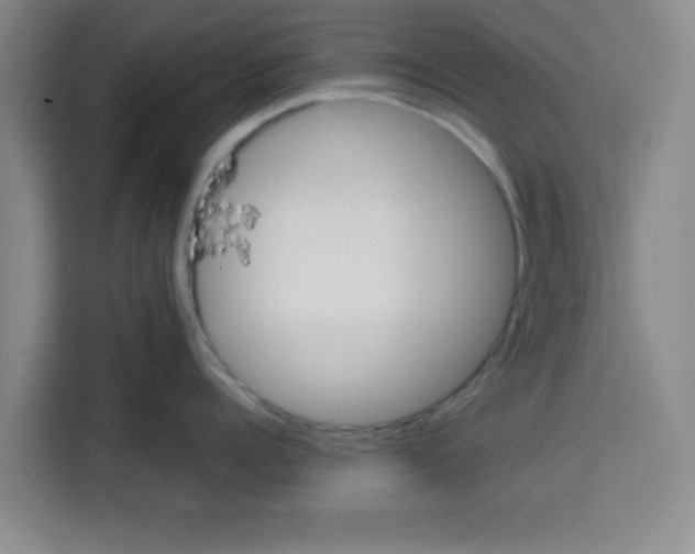 X0000113260960200910221036
