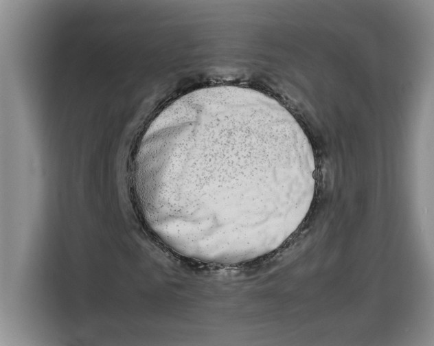 X0000113260961200910221036