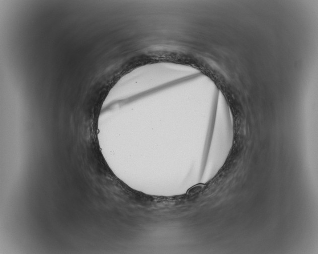 X0000113260965200910221036