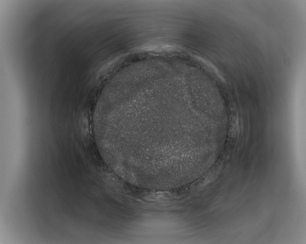 X0000113260966200910221036