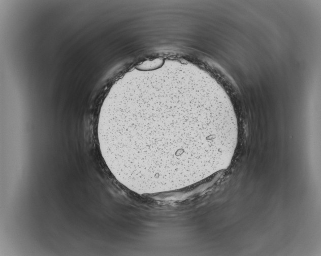X0000113260968200910221036