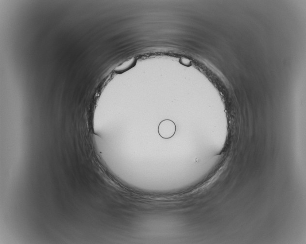 X0000113260969200910221036