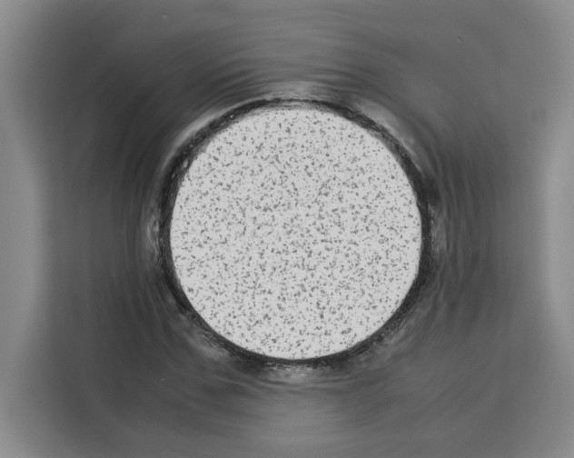 X0000113260971200910221036