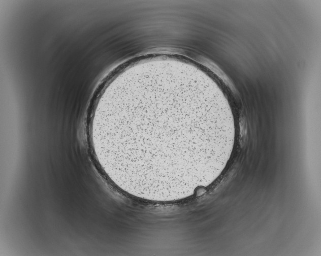 X0000113260972200910221036