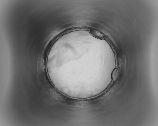 X0000113260973200910221036