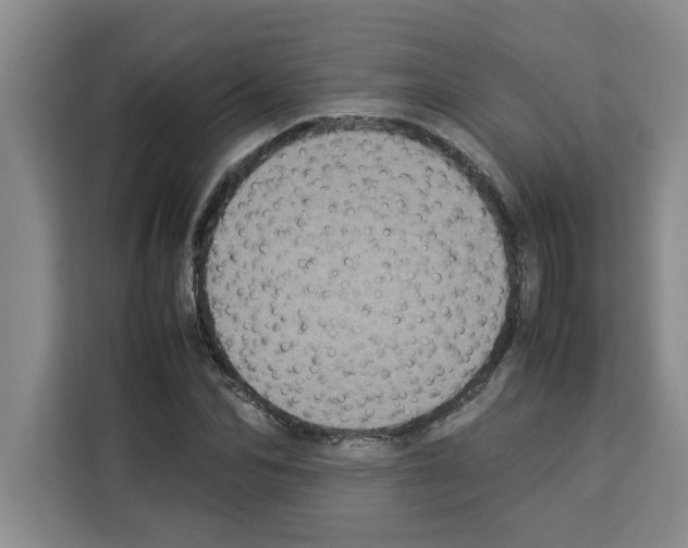 X0000113260974200910221036