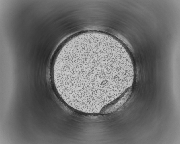 X0000113260976200910221036