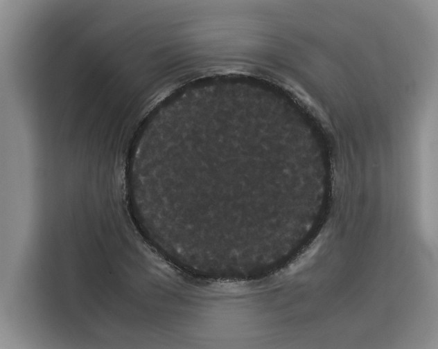 X0000113260977200910221036