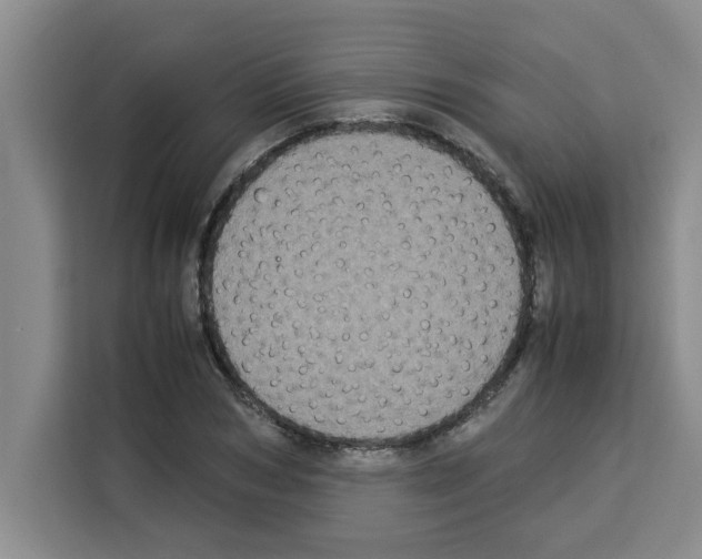 X0000113260978200910221036