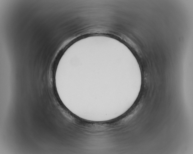 X0000113260981200910221036