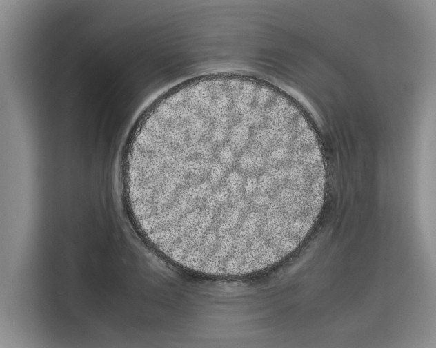 X0000113260983200910221036