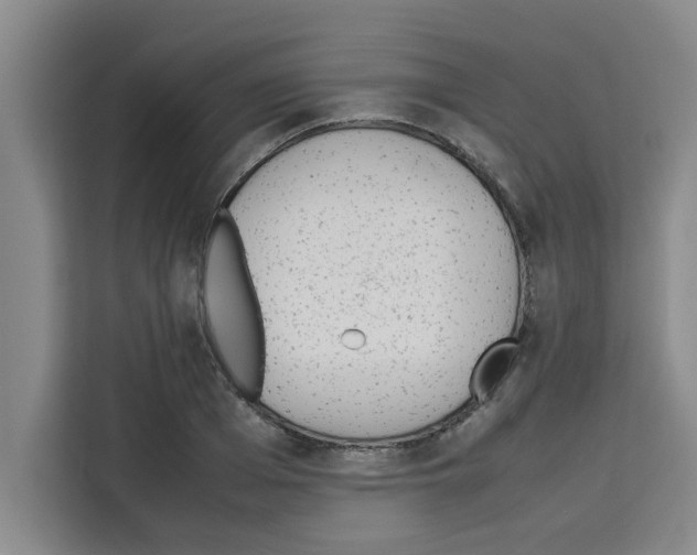 X0000113260985200910221035