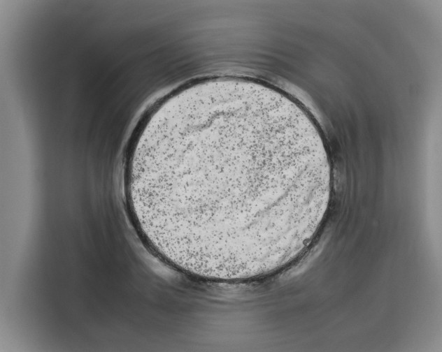 X0000113260987200910221035