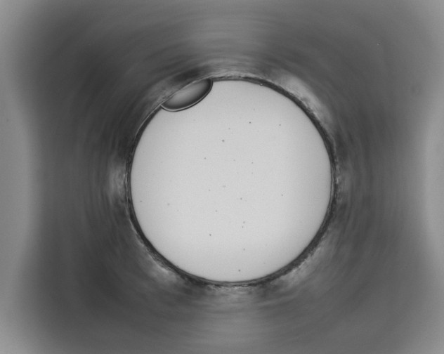 X0000113260993200910221035
