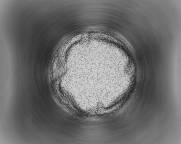 X0000113260994200910221035