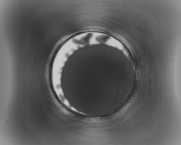 X0000113260995200910221035