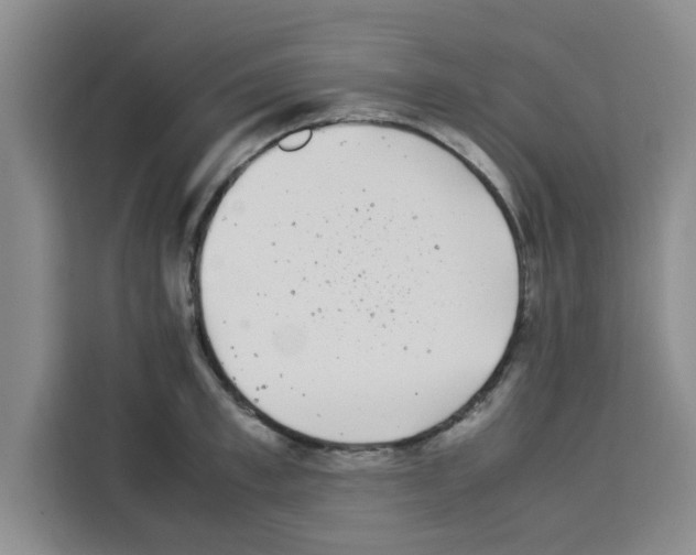 X0000113260997200910221035