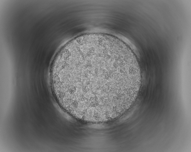 X0000113260998200910221035