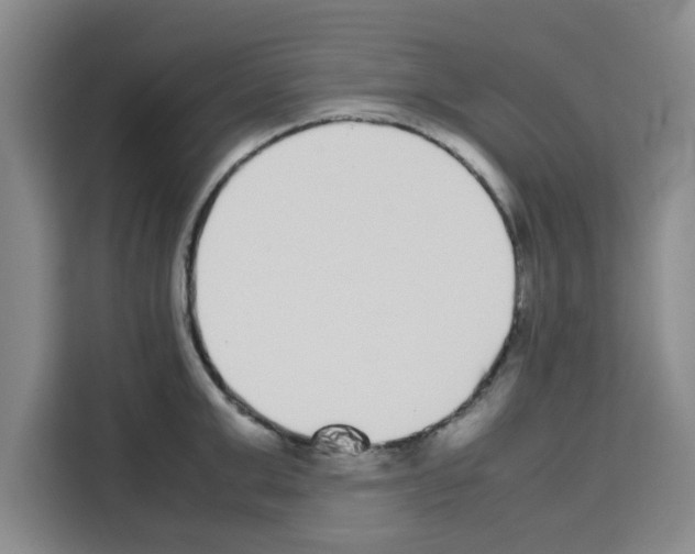 X0000113260999200910221035